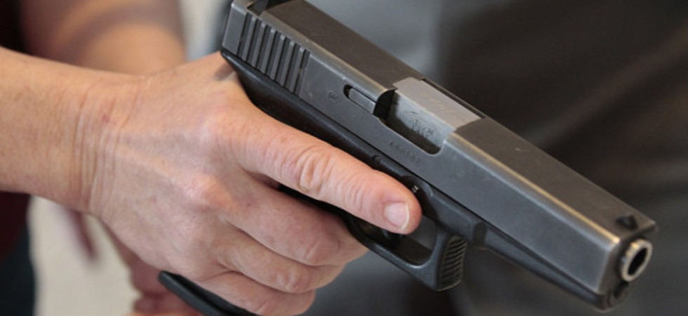 Il cane abbaia troppo e allora il vicino entra nel fondo della proprietaria e la minaccia con una pistola